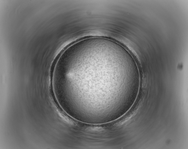 X0000093730837200710231150