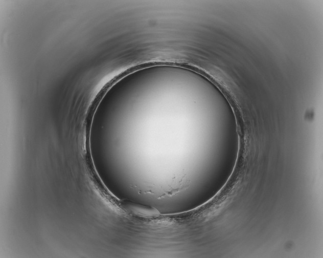 X0000093730838200710231150
