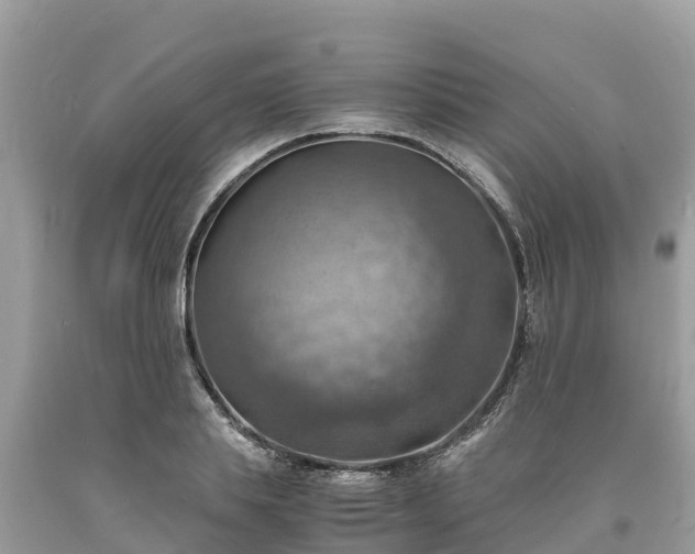 X0000093730839200710231150