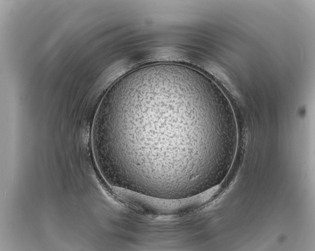 X0000093730841200710231150