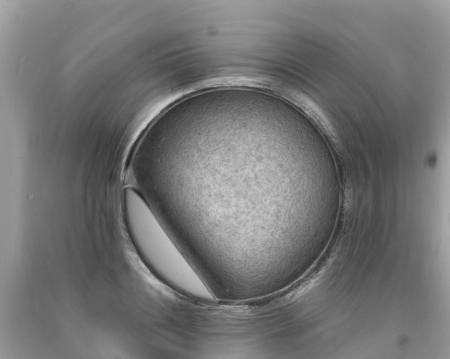 X0000093730844200710231150