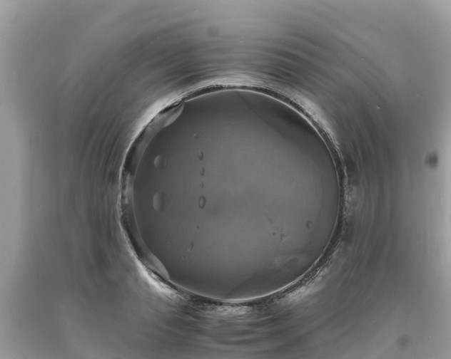 X0000093730845200710231150