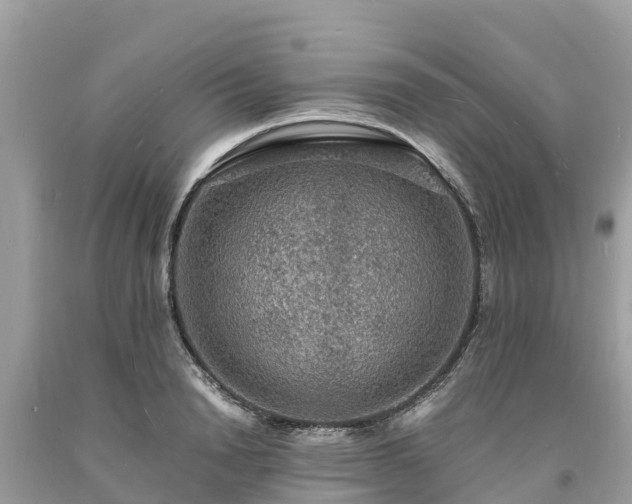 X0000093730846200710231150