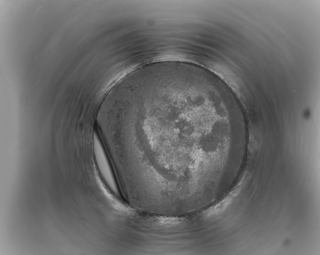 X0000093730849200710231150