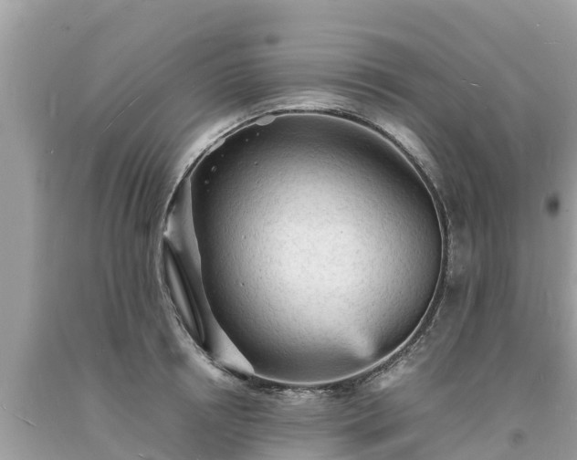X0000093730850200710231150