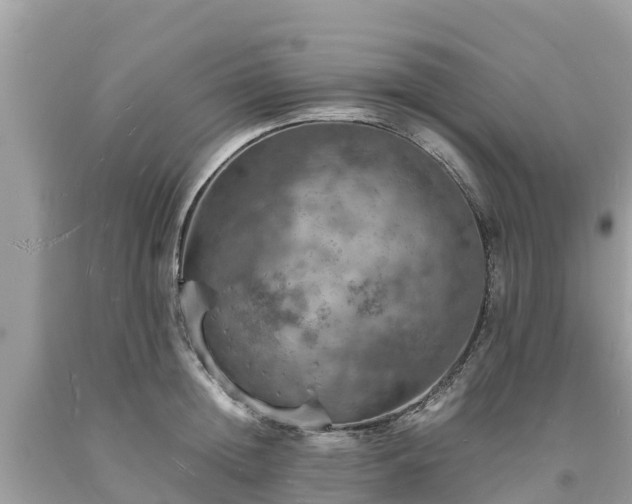 X0000093730852200710231150
