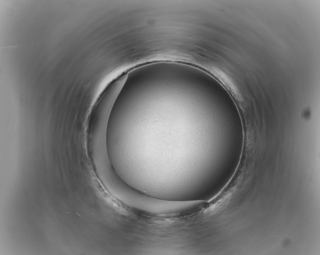 X0000093730854200710231150