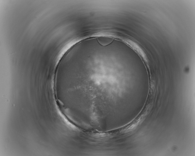 X0000093730855200710231150
