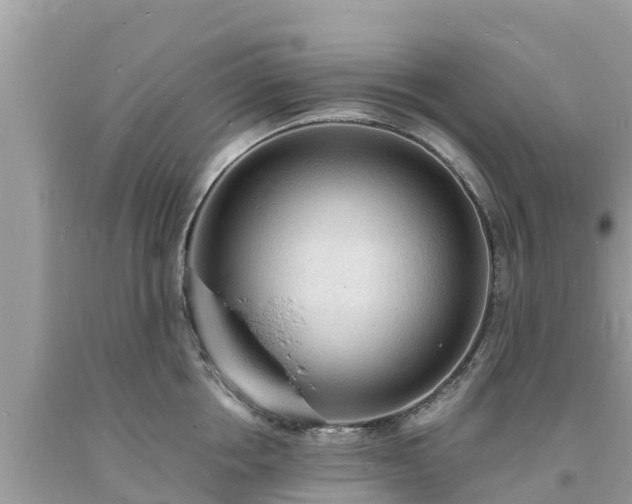 X0000093730858200710231150