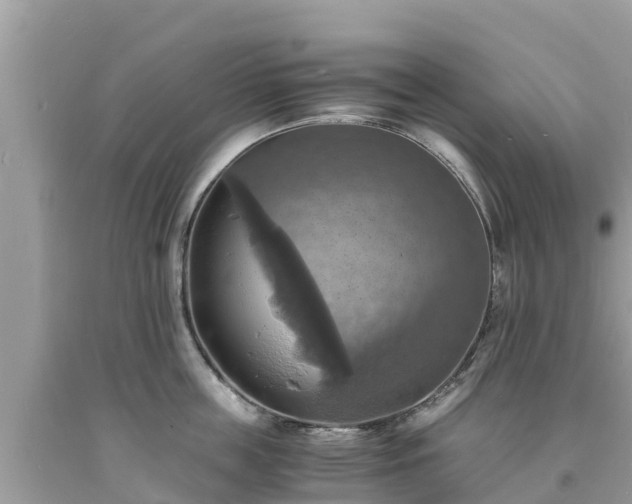 X0000093730859200710231150