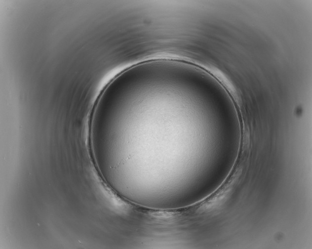 X0000093730862200710231150
