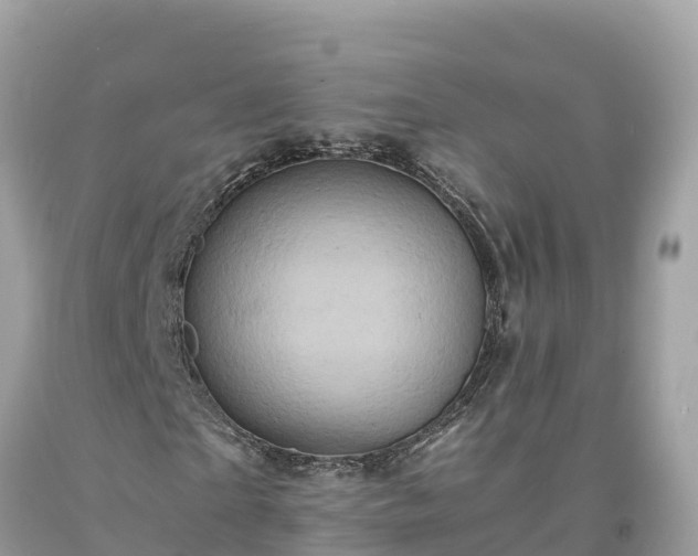 X0000093730865200710231150
