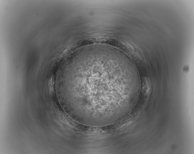 X0000093730866200710231150