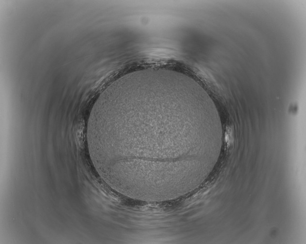 X0000093730867200710231150