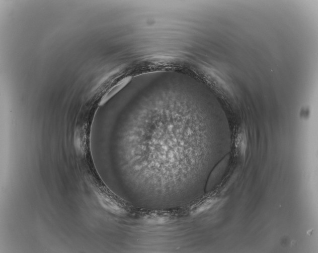 X0000093730868200710231150
