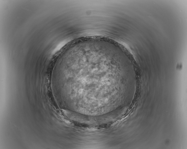 X0000093730871200710231150