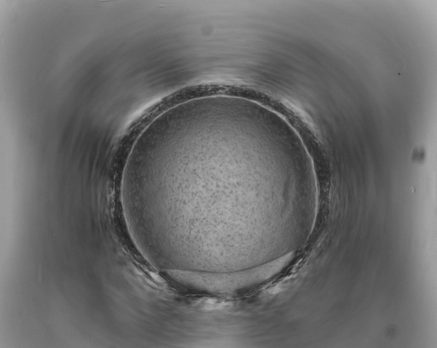 X0000093730872200710231150
