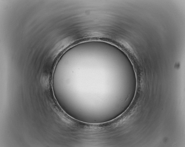 X0000093730873200710231150