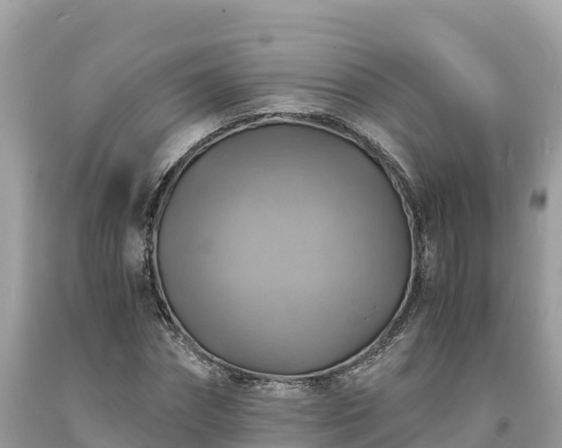 X0000093730874200710231150