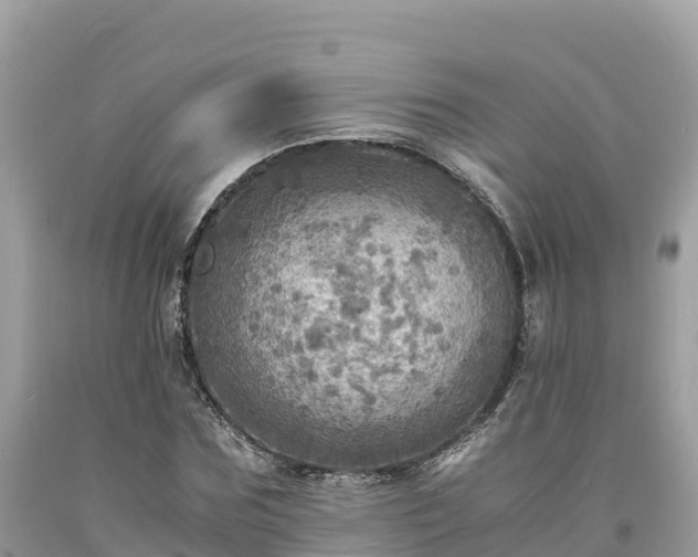 X0000093730875200710231150
