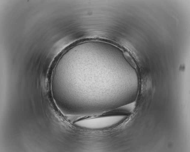 X0000093730876200710231150