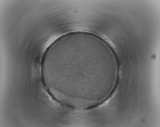 X0000093730877200710231150