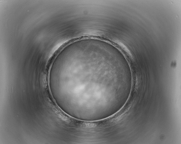 X0000093730878200710231150