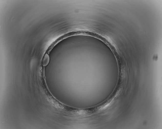 X0000093730879200710231149