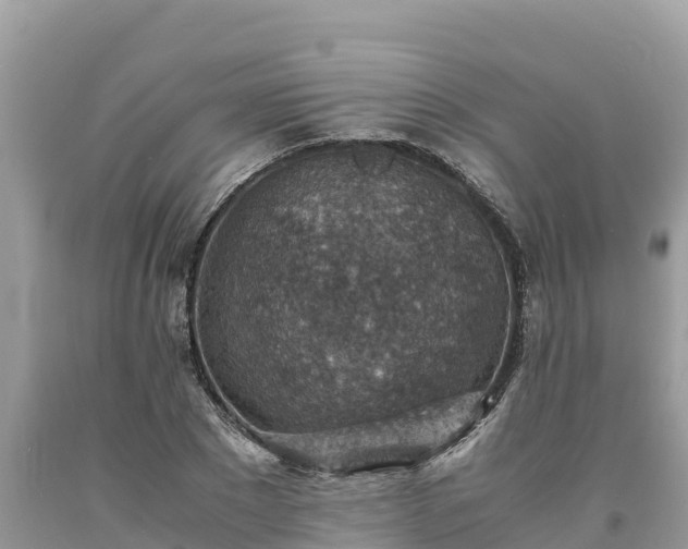 X0000093730881200710231149