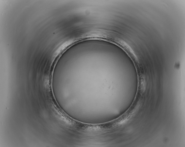 X0000093730882200710231149