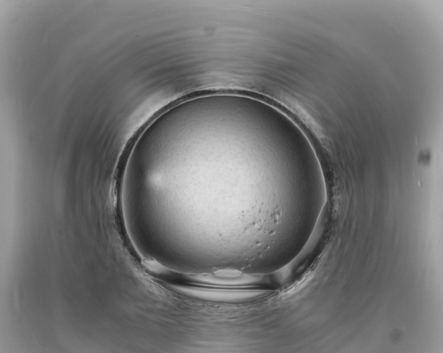 X0000093730885200710231149