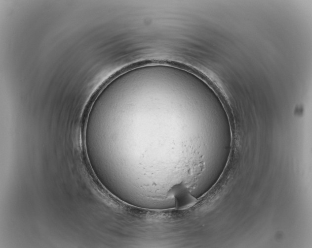X0000093730887200710231149