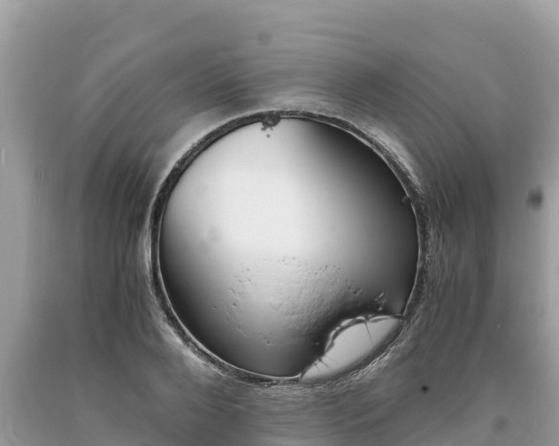 X0000093730888200710231149