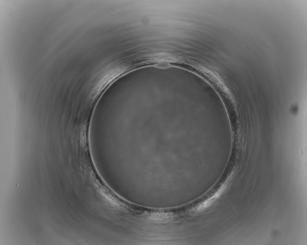 X0000093730889200710231149