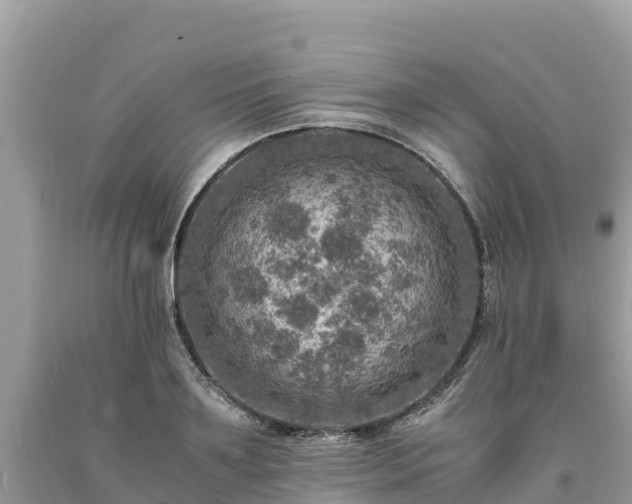 X0000093730891200710231149