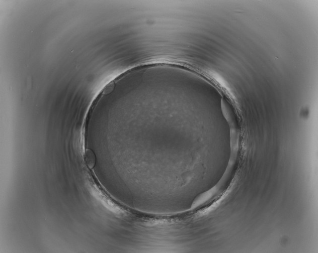 X0000093730892200710231149