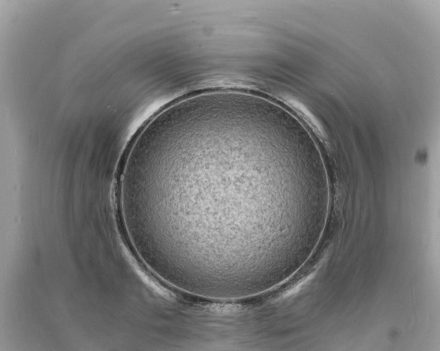 X0000093730893200710231149