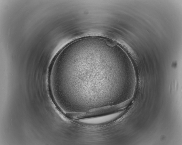 X0000093730894200710231149