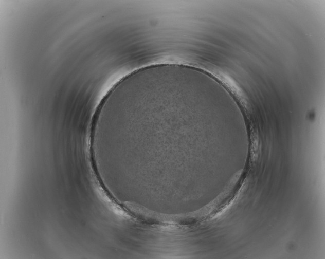 X0000093730896200710231149