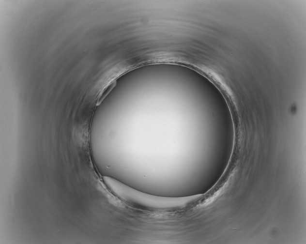 X0000093730897200710231149