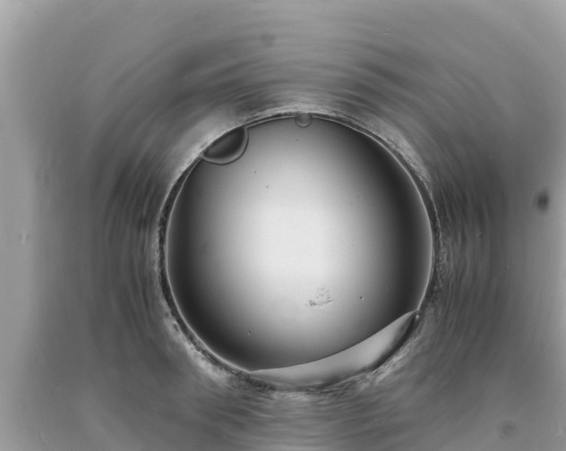 X0000093730898200710231149
