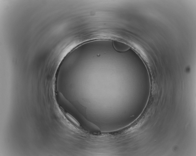 X0000093730899200710231149