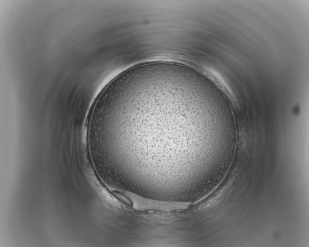 X0000093730900200710231149