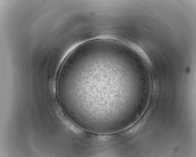 X0000093730908200710231149