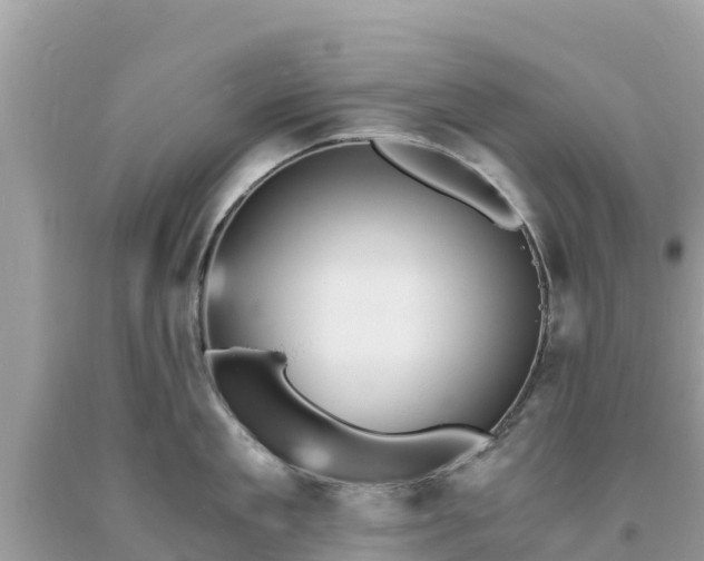 X0000093730909200710231149