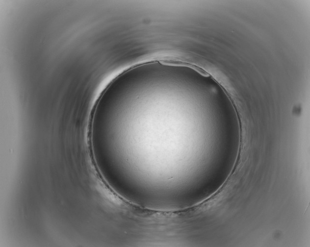 X0000093730912200710231149