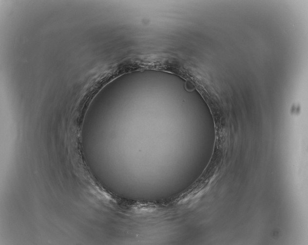 X0000093730913200710231148