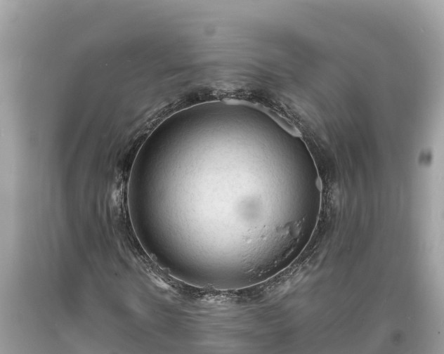 X0000093730914200710231148