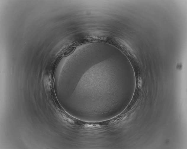 X0000093730915200710231149