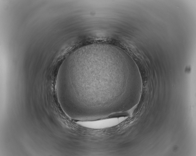 X0000093730916200710231149